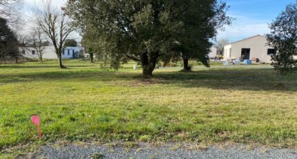 Saint-Vaize Terrain à bâtir - 2385479-11194annonce220260108TuBzL.jpeg Maisons Open