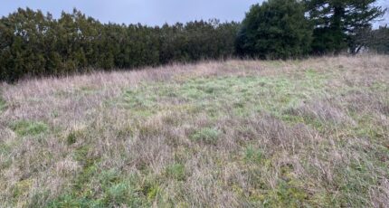 Pont-l'Abbé-d'Arnoult Terrain à bâtir - 2385548-11194annonce220260108V1sqN.jpeg Maisons Open