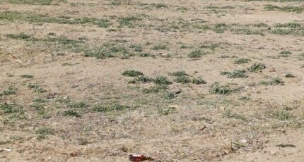 Estagel Terrain à bâtir - 2385713-4671annonce1202601086eMoi.jpeg Maisons Open