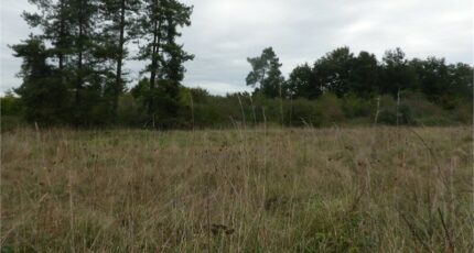 Castres-Gironde Terrain à bâtir - 2386073-1686annonce120251217TZTOJ.jpeg Maisons Open