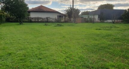 Saint-Genès-de-Fronsac Terrain à bâtir - 2385878-11015annonce12026010881S9n.jpeg Maisons Open