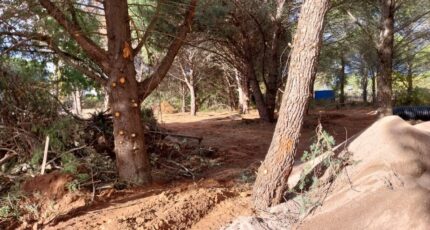 Puget-sur-Argens Terrain à bâtir - 2385752-11157annonce320260108Z9IWM.jpeg Maisons Open