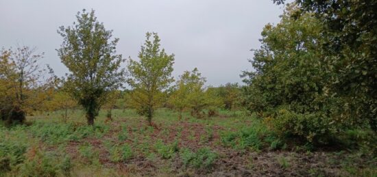 Terrain à bâtir à Parentis-en-Born, Nouvelle-Aquitaine