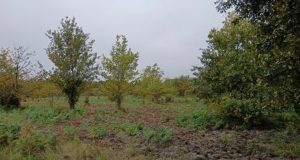 Gastes Terrain à bâtir - 2386241-11193annonce120260108WLTZg.jpeg Maisons Open