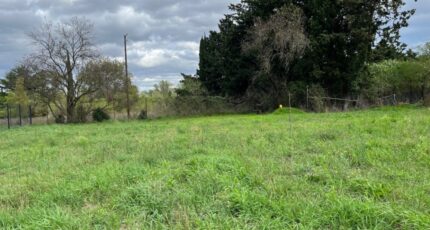 Montélimar Terrain à bâtir - 2328180-6150annonce220241020AchOO.jpeg Maisons Open