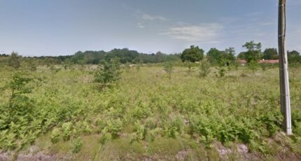 Parentis-en-Born Terrain à bâtir - 2384045-3601annonce120260107zU01z.jpeg Maisons Open