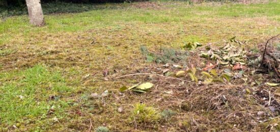 Terrain à bâtir à Castres-Gironde, Nouvelle-Aquitaine