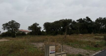 Saint-Brès Terrain à bâtir - 2385459-11455annonce1202601082X2LV.jpeg Maisons Open