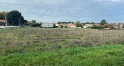 Meschers-sur-Gironde Terrain à bâtir - 2386542-11163annonce120260109eatVC.jpeg Maisons Open