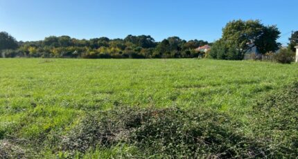 Saint-Palais-sur-Mer Terrain à bâtir - 2386659-11163annonce1202601095wfQe.jpeg Maisons Open