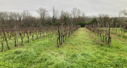 Pineuilh Terrain à bâtir - 2386684-11367annonce120260109lX5gy.jpeg Maisons Open