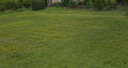 Pontfaverger-Moronvilliers Terrain à bâtir - 2299481-10076annonce1202510094gWa6.jpeg Maisons Open