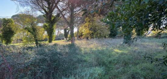 Terrain à bâtir à Saint-Maixant, Nouvelle-Aquitaine