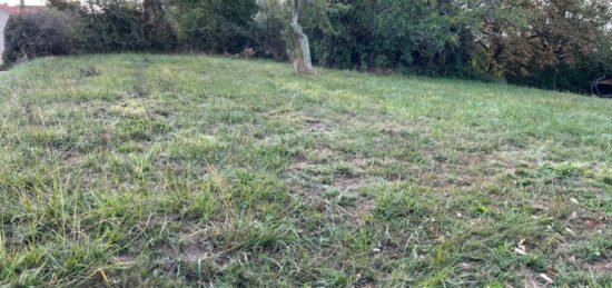 Terrain à bâtir à Le Pian-sur-Garonne, Nouvelle-Aquitaine
