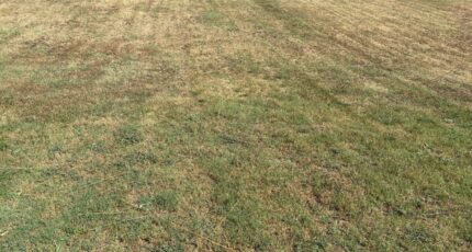 Buzet-sur-Tarn Terrain à bâtir - 2384948-11356annonce220260107sMdai.jpeg Maisons Open