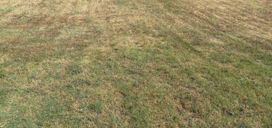 Terrain à bâtir à Buzet-sur-Tarn, Occitanie