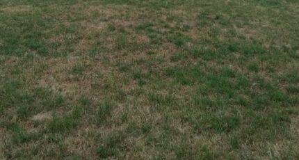 Montilly-sur-Noireau Terrain à bâtir - 2387240-1153annonce120250917OgRaM.jpeg Maisons Open