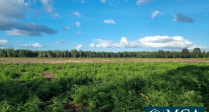 Laluque Terrain à bâtir - 2387475-5828annonce120251003F6yv5.jpeg Maisons Open