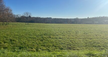 Casteljaloux Terrain à bâtir - 2387599-9795annonce120250315mDvrH.jpeg Maisons Open