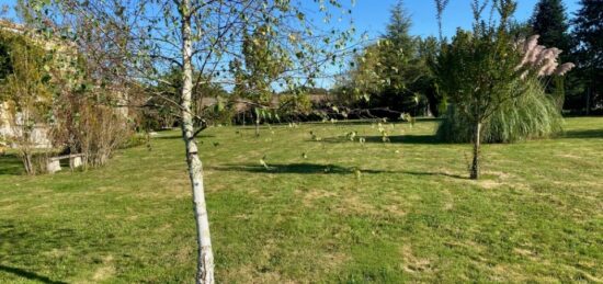 Terrain à bâtir à Targon, Nouvelle-Aquitaine