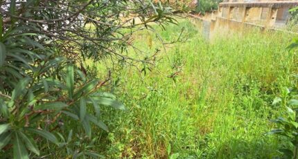 Velaux Terrain à bâtir - 2388642-11041annonce320260111Cvq2I.jpeg Maisons Open