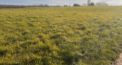 Targon Terrain à bâtir - 2388693-3601annonce120260112eB8lc.jpeg Maisons Open