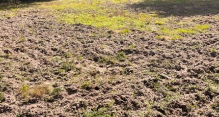 La Brède Terrain à bâtir - 2388695-3601annonce120260112E0oGe.jpeg Maisons Open