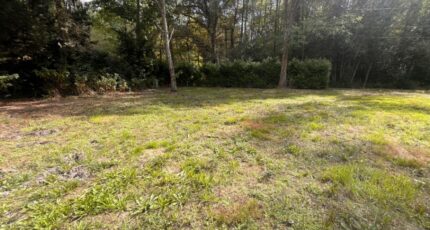 La Brède Terrain à bâtir - 2388696-3601annonce120260112dT2ZI.jpeg Maisons Open