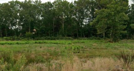 Saint-Aubin-de-Médoc Terrain à bâtir - 2388749-9575annonce120251216ZAlSb.jpeg Maisons Open