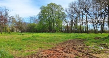 Tournefeuille Terrain à bâtir - 2387189-9555annonce120260109T4pSN.jpeg Maisons Open