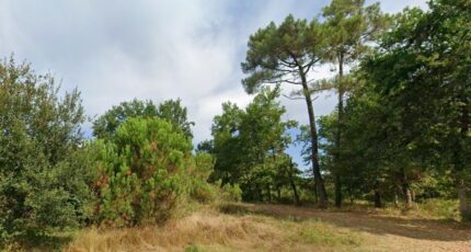 Arsac Terrain à bâtir - 2388778-9575annonce1202601127hbyw.jpeg Maisons Open