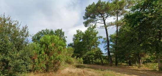 Terrain à bâtir à Arsac, Nouvelle-Aquitaine