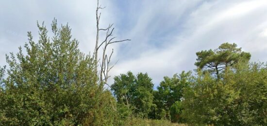 Terrain à bâtir à , Gironde