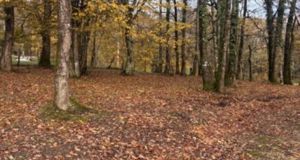 Camarsac Terrain à bâtir - 2362198-10947annonce120251209Twamw.jpeg Maisons Open