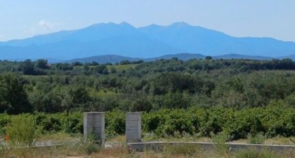 Tresserre Terrain à bâtir - 2388989-4671annonce120260112zZqMR.jpeg Maisons Open