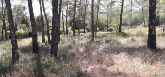 Terrain à bâtir à Fréjus, Provence-Alpes-Côte d'Azur