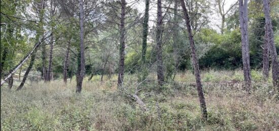 Terrain à bâtir à Tourrettes, Provence-Alpes-Côte d'Azur