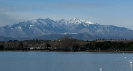 Villeneuve-de-la-Raho Terrain à bâtir - 2389495-666annonce1202601122QcRg.jpeg Maisons Open