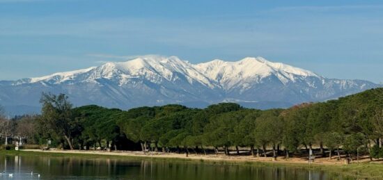 Terrain à bâtir à Villeneuve-de-la-Raho, Occitanie