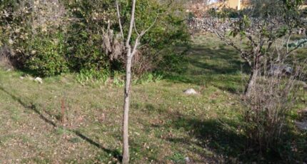 Garéoult Terrain à bâtir - 2389394-5922annonce120260112c3rsv.jpeg Maisons Open