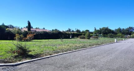 Garéoult Terrain à bâtir - 2389688-11039annonce320260112ZO7s0.jpeg Maisons Open