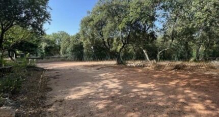 Saint-Maximin-la-Sainte-Baume Terrain à bâtir - 2389704-11039annonce120260112o2CTr.jpeg Maisons Open