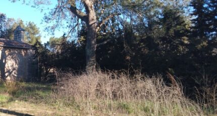 La Bastide-des-Jourdans Terrain à bâtir - 2389822-9917annonce220260112NxO3k.jpeg Maisons Open