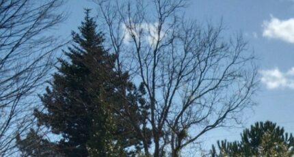 Volx Terrain à bâtir - 2389722-9917annonce220250820Efbe9.jpeg Maisons Open