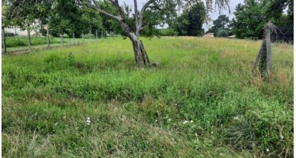 Léognan Terrain à bâtir - 2389752-10509annonce120260112EUyTb.jpeg Maisons Open