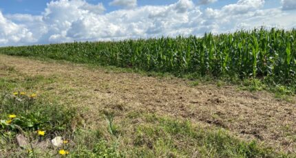 Athies Terrain à bâtir - 2389599-6159annonce220260112ORu8r.jpeg Maisons Open