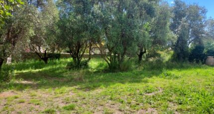 Cuers Terrain à bâtir - 2385361-11137annonce220250512X2Jx9.jpeg Maisons Open