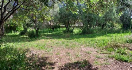 Cuers Terrain à bâtir - 2385361-11137annonce320250512iex1A.jpeg Maisons Open