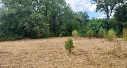 Garéoult Terrain à bâtir - 2385392-11137annonce220250730Ki06P.jpeg Maisons Open