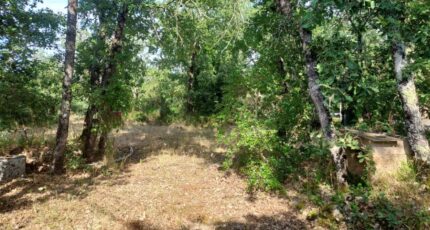 Néoules Terrain à bâtir - 2390155-11137annonce320260112AIL4i.jpeg Maisons Open